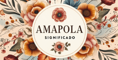 amapola significado 46d9