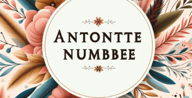 antoinette nombre 85ec