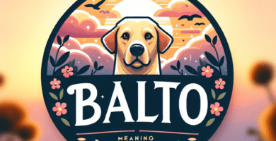 balto significado nombre de perro 11a1