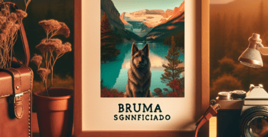 bruma significado a803