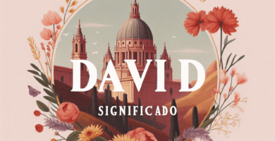 david significado 6036