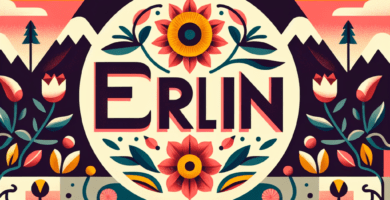 erlin 65e9