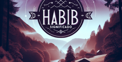 habib significado 653f