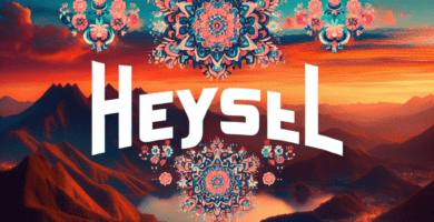 heysell d211