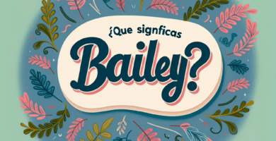 que significa bailey e425
