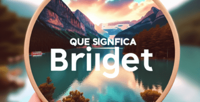 que significa bridget af7c