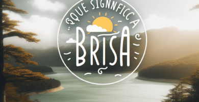 que significa brisa c22b