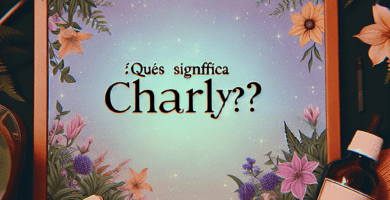 que significa charly d9ad