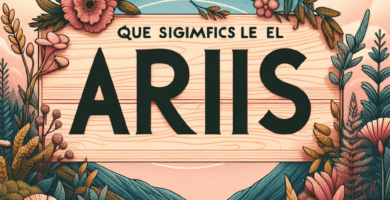 que significa el nombre aris 1def