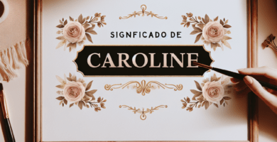 significado de caroline d330